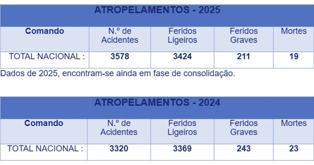 800119